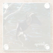 Anhinga Glasuntersetzer (Rückseite)