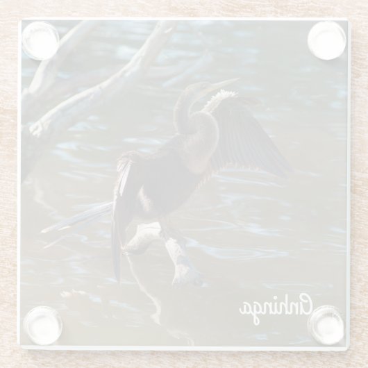 Anhinga Glasuntersetzer (Rückseite)