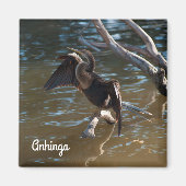 Anhinga Magnet (Vorne)