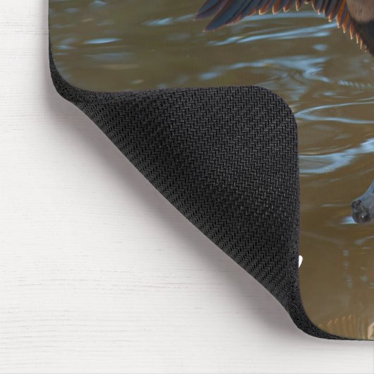 Anhinga Mousepad (Ecke)