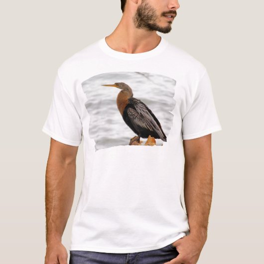 Anhinga on the Lookout T-Shirt (Vorderseite)