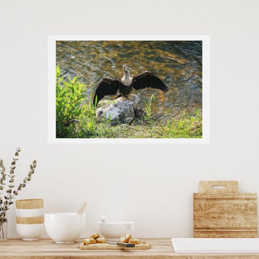 Anhinga Poster (Küche)