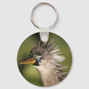 Anhinga Schlüsselanhänger