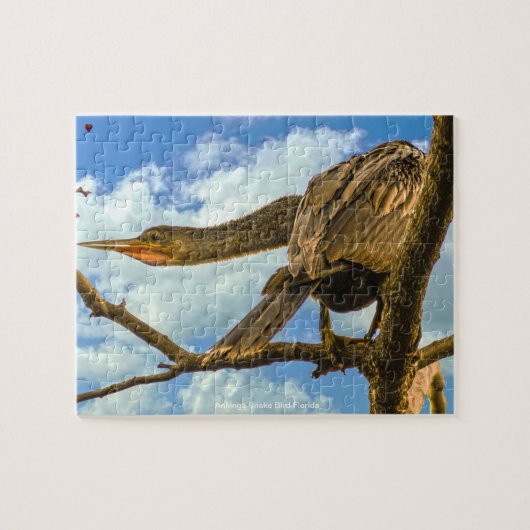 Anhinga Snake Bird Florida Puzzle (Horizontal)