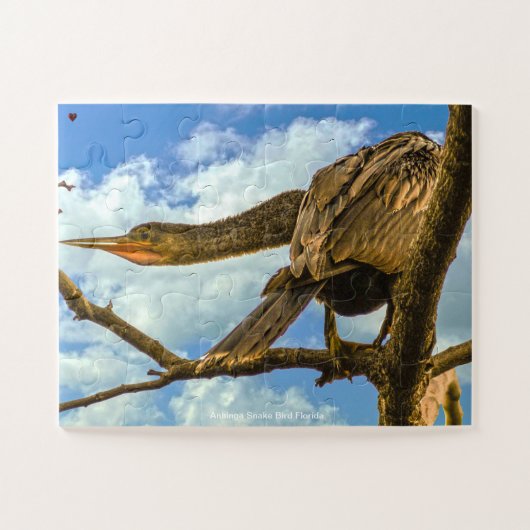 Anhinga Snake Bird Florida Puzzle (Horizontal)
