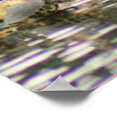 Anhinga trocken seine Federn Foto Poster (Ecke)