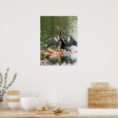 Anhinga trocken seine Federn Foto Poster (Küche)
