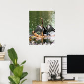 Anhinga trocken seine Federn Foto Poster (Heimbüro)