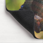 Anhinga und Fische Mousepad (Ecke)