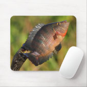 Anhinga und Fische Mousepad (Mit Mouse)