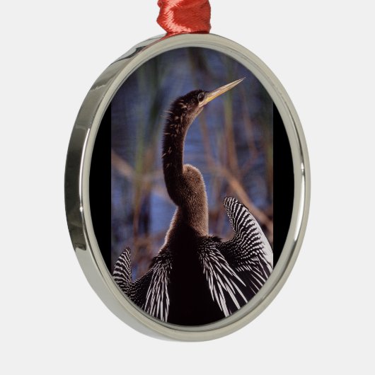 Anhinga und Flügel Silbernes Ornament (Rechts)