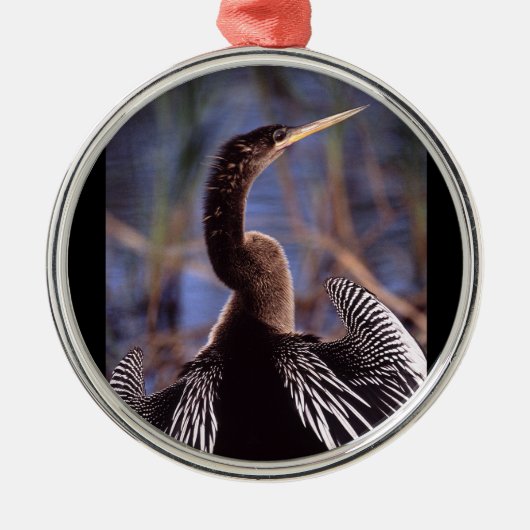 Anhinga und Flügel Silbernes Ornament (Vorne)
