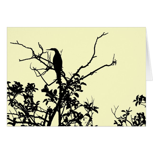 Anhinga-Vogel (Vorderseite (Horizontal))