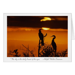 Anhingas bei Sonnenaufgang