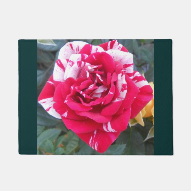 Anicia Fußmatte (Vorderseite)