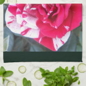 Anicia Geschirrtuch (Gefaltet)