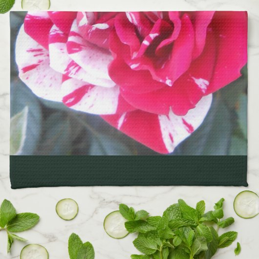 Anicia Geschirrtuch (Gefaltet)