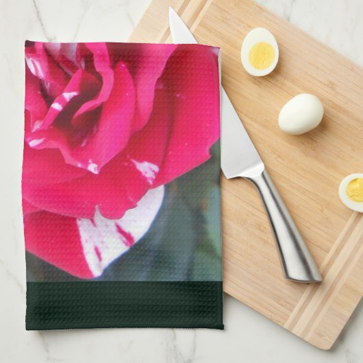 Anicia Geschirrtuch (Viertel Falte)