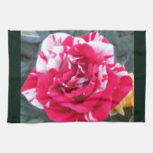 Anicia Geschirrtuch (Horizontal)