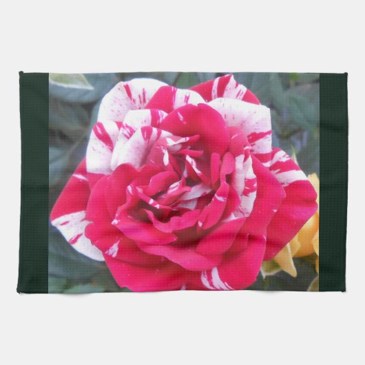 Anicia Geschirrtuch (Horizontal)