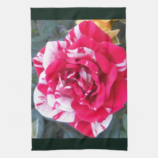 Anicia Geschirrtuch (Vertikal)