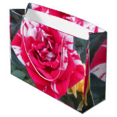 Anicia Große Geschenktüte (Rückseite Schrägansicht)