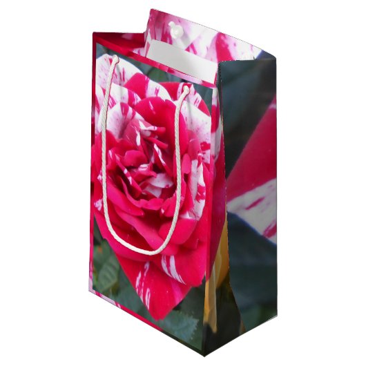 Anicia Kleine Geschenktüte (Vorderseite Schrägansicht)