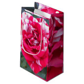 Anicia Kleine Geschenktüte (Rückseite Schrägansicht)