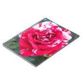 Anicia Notizblock (Linke Seite)