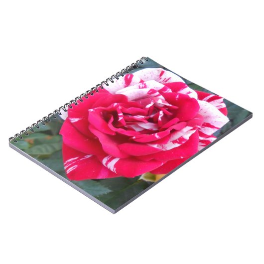 Anicia Notizblock (Linke Seite)