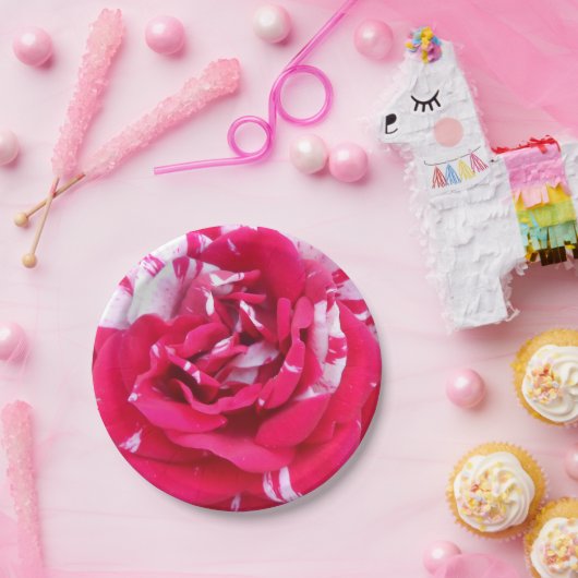 Anicia Pappteller (Party)