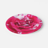 Anicia Pappteller (Schrägansicht)