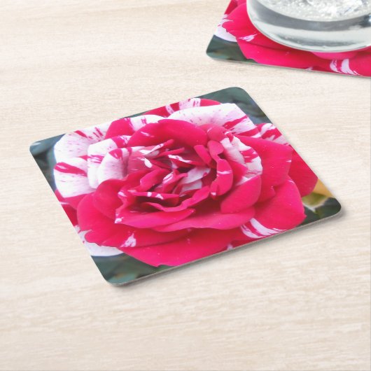 Anicia Rechteckiger Pappuntersetzer (angewinkelt)