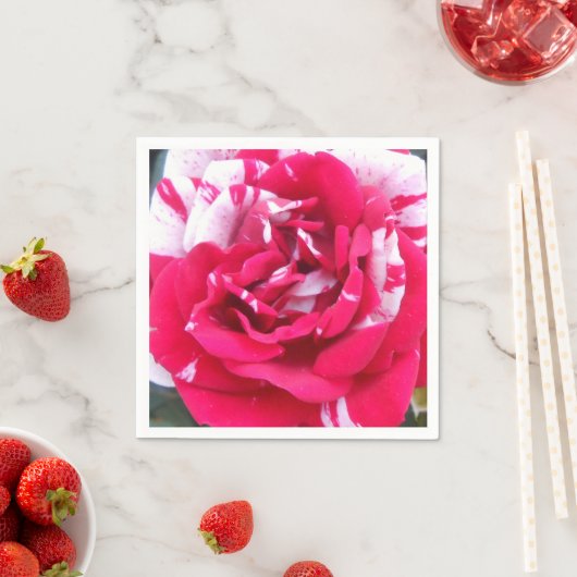 Anicia Serviette (Beispiel)