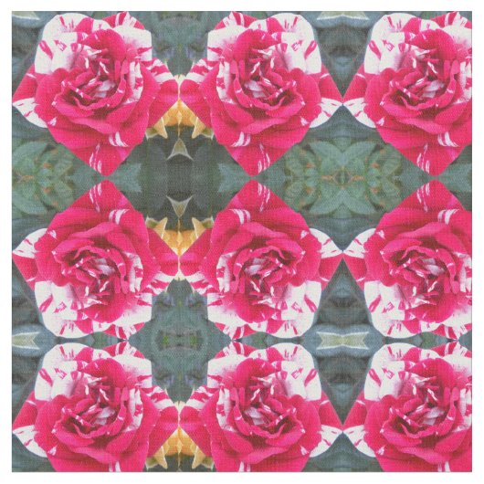 Anicia Stoff (Nahaufnahme)