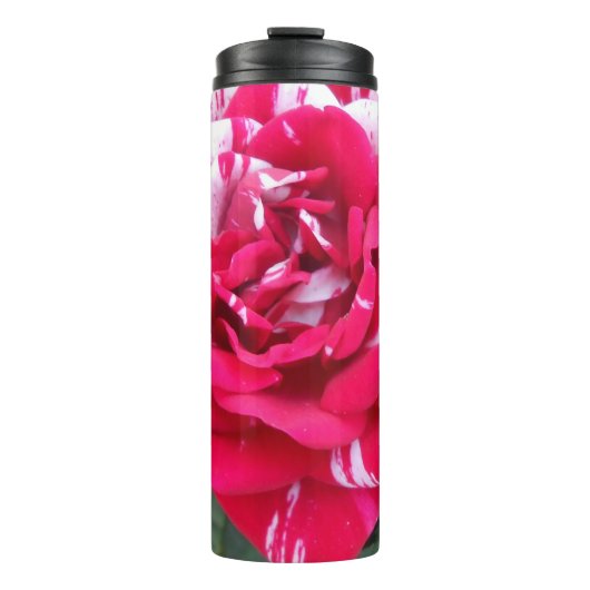 Anicia Thermosbecher (Vorderseite)