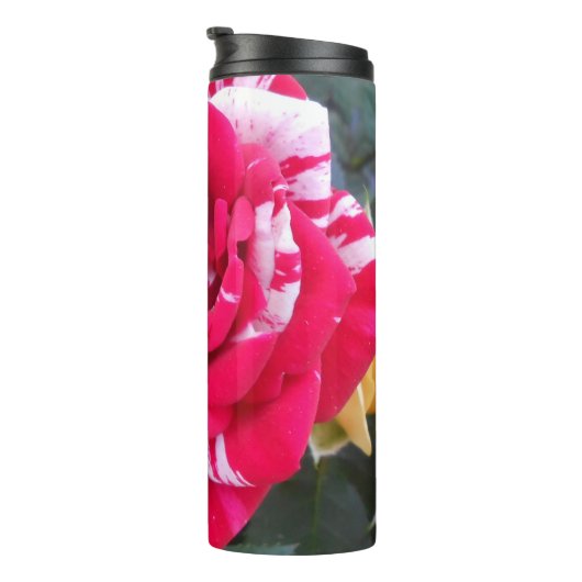 Anicia Thermosbecher (Nach rechts gedreht)