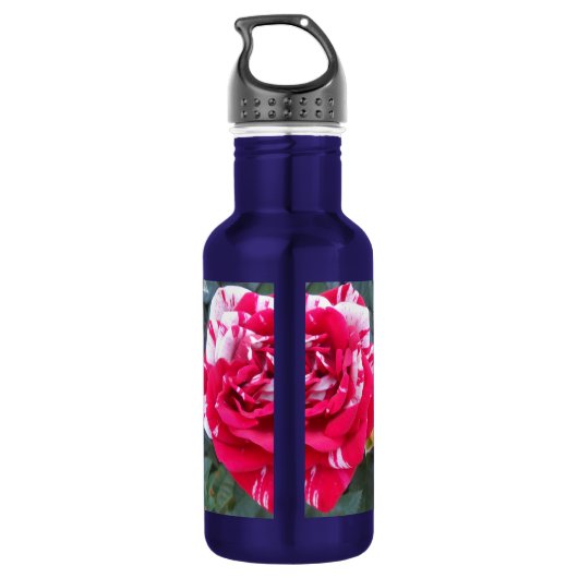 Anicia Trinkflasche (Rückseite)