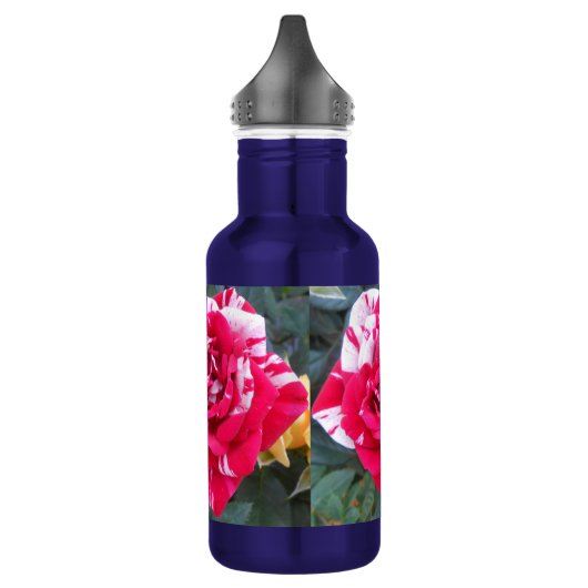 Anicia Trinkflasche (Links)