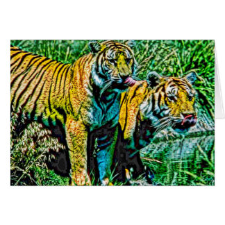 Animal27