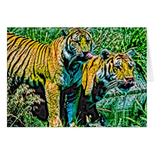 Animal27 (Vorderseite (Horizontal))