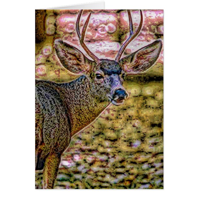 Animal29 (Vorne)