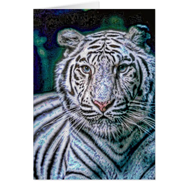Animal33 (Vorne)
