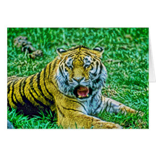 Animal34