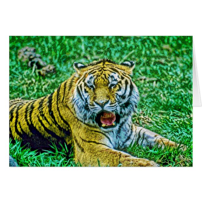 Animal34 (Vorderseite (Horizontal))