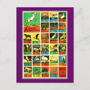 Animal abc alphabet Chart  teachers and learners Postkarte