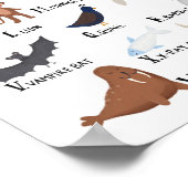 Animal Alphabet Chart A-Z Art Print Poster (Ecke)