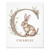 Animal Alphabet Letter C Kinder Name Bunny Poster (Vorne)