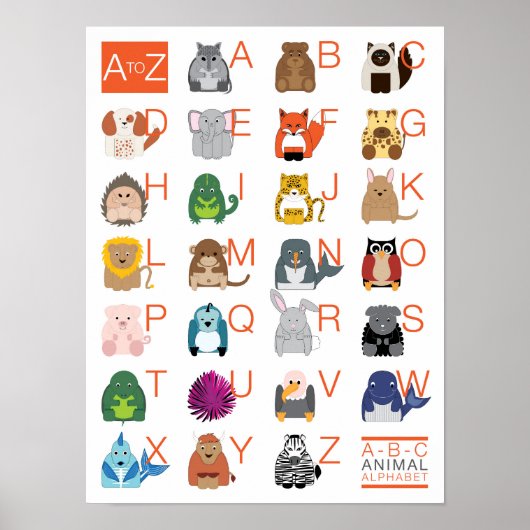 Animal Alphabet Poster (Vorne)