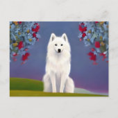 Animal American Eskimo Postkarte (Vorderseite)